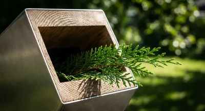 Gros plan iconique d'une branche de thuya dans un broyeur