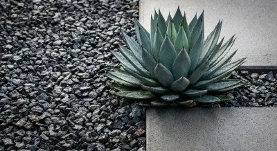 Détail épuré de gravier gris et bordure en béton pour jardin moderne