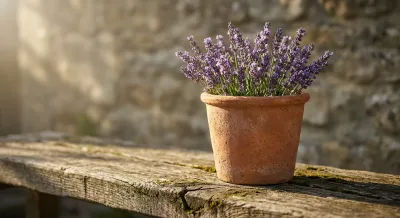 Détail décoratif iconique d'une maison campagnarde avec lavande et bois brut